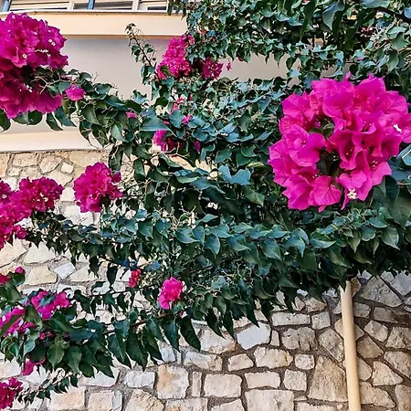 Avgerini Paxos Gaios